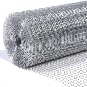 Welded Wire Mesh 