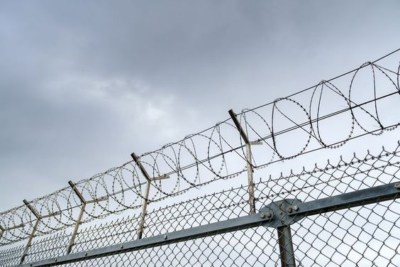 ODM Razor Mesh Wire