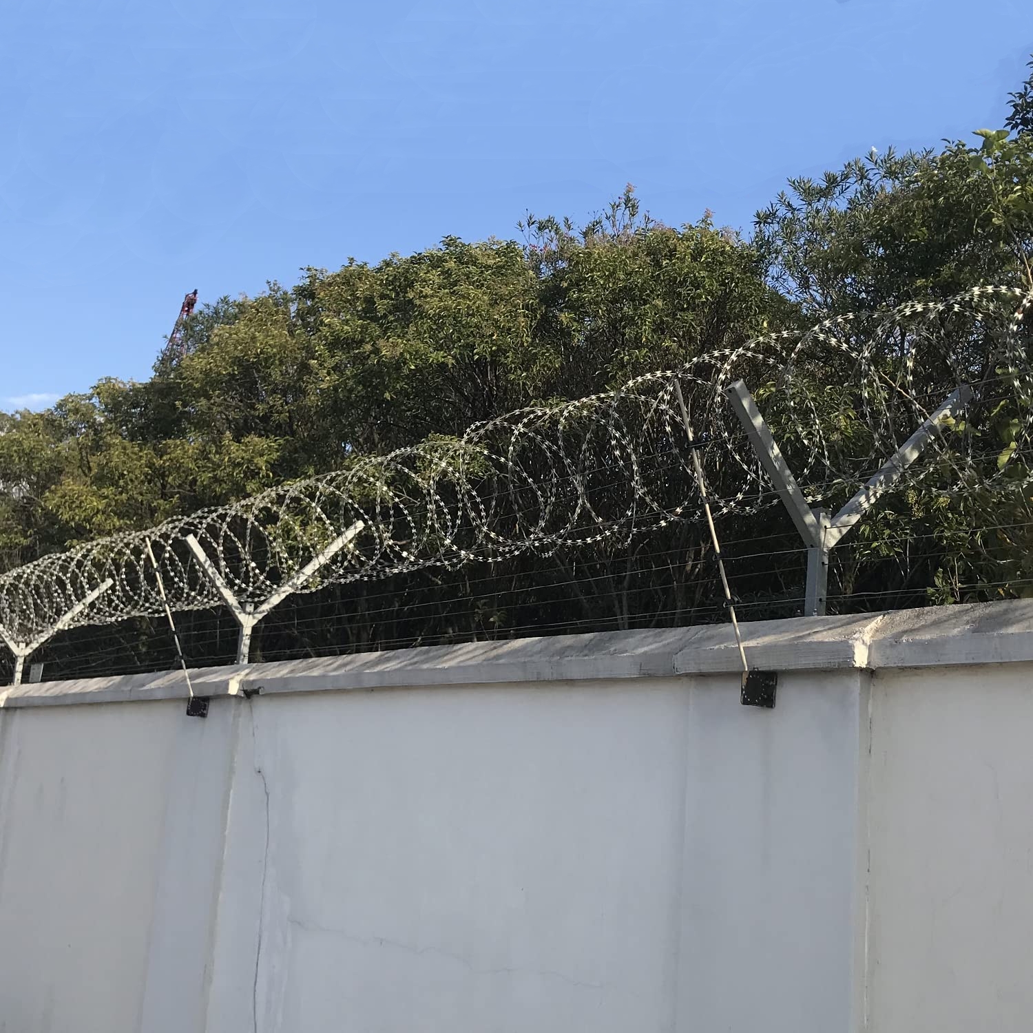 razor wire